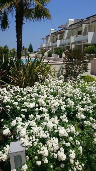 Residence Jesolo Lido Centro Con Piscina Eksteriør bilde