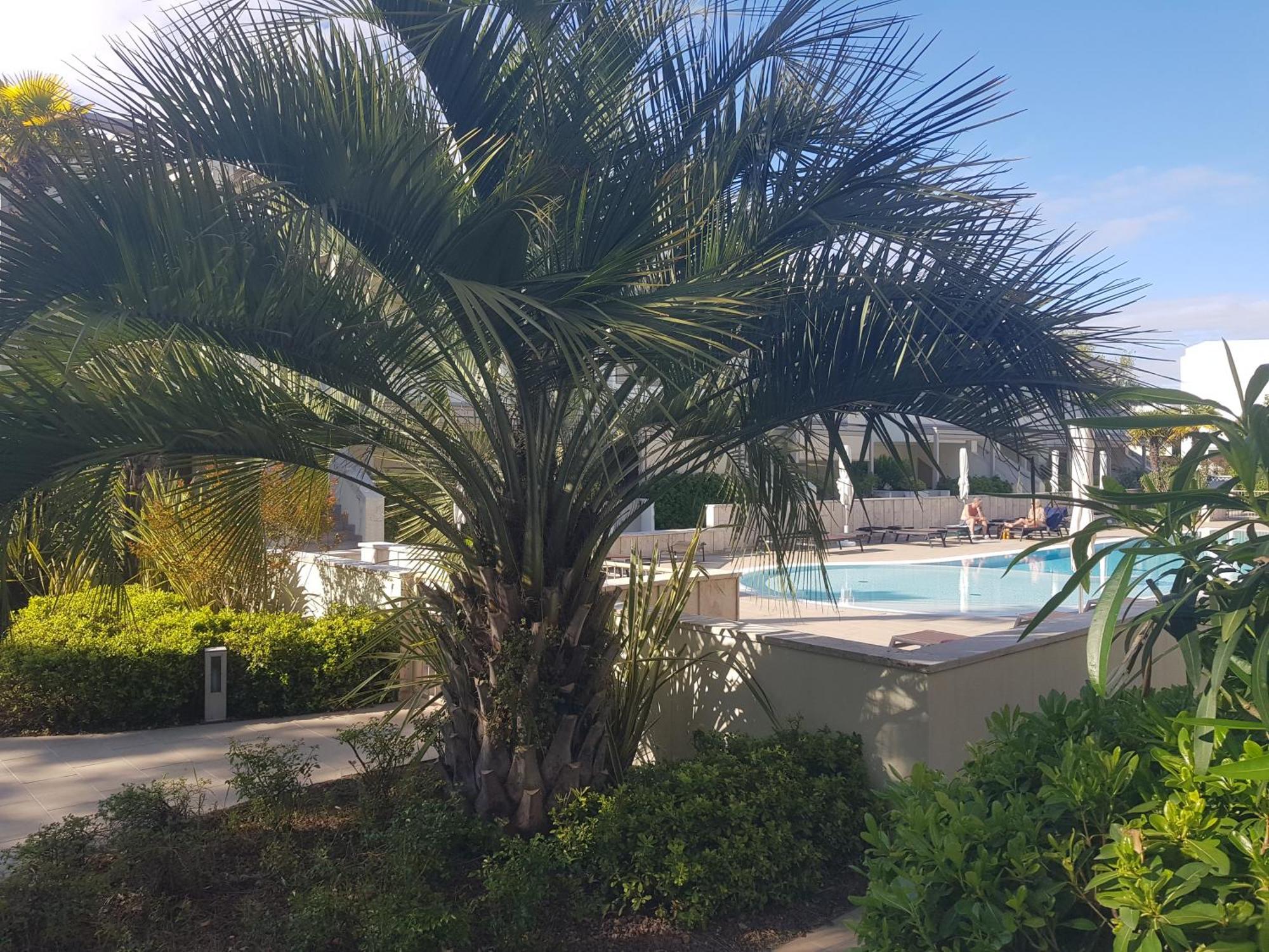 Residence Jesolo Lido Centro Con Piscina Eksteriør bilde